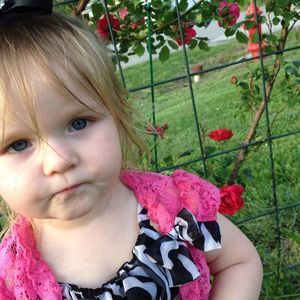 Meet your Posher, Donald